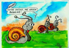 humour-escargot-1.jpg (40071 octets)